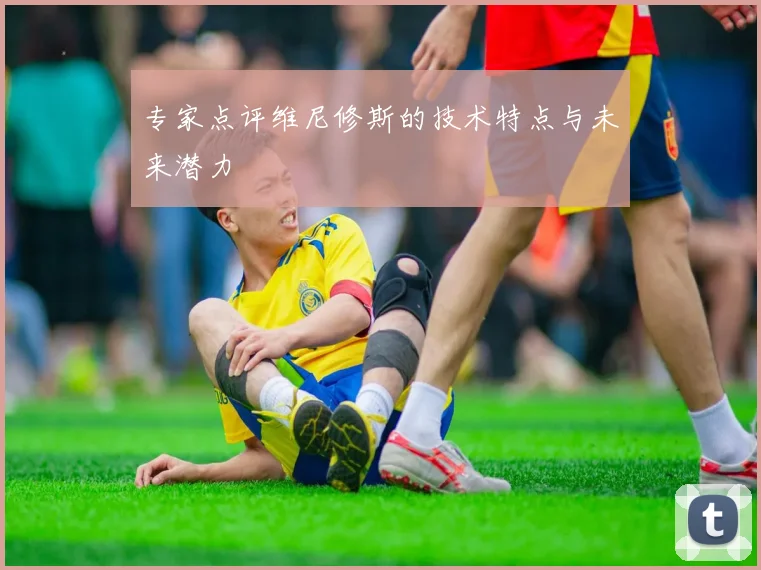 专家点评维尼修斯的技术特点与未来潜力