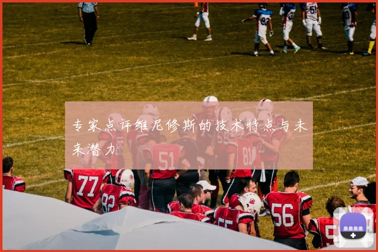 专家点评维尼修斯的技术特点与未来潜力